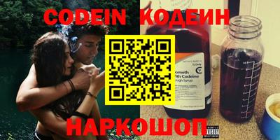 мдпв Кингисепп
