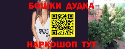 мдпв Кингисепп