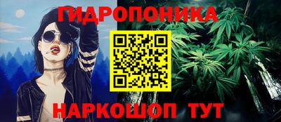 мдпв Кингисепп