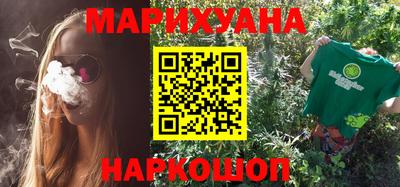мдпв Кингисепп