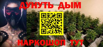мдпв Кингисепп