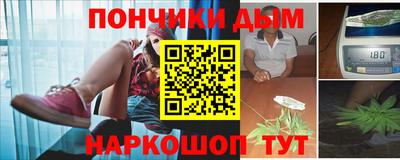 PSILOCYBIN Кинель
