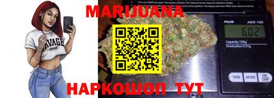 мдпв Кингисепп