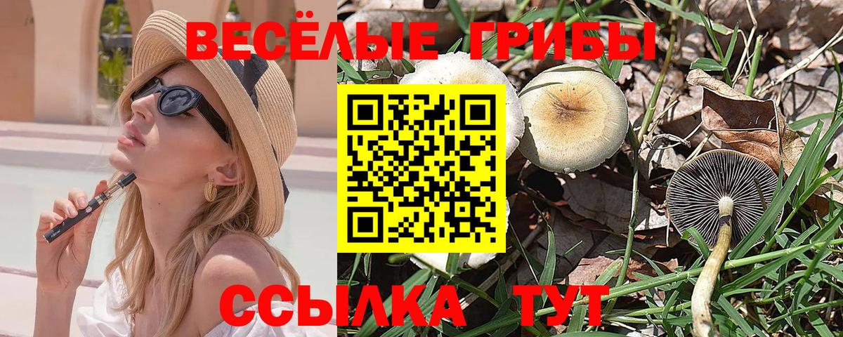 Галлюциногенные грибы Magic Shrooms Кузнецк