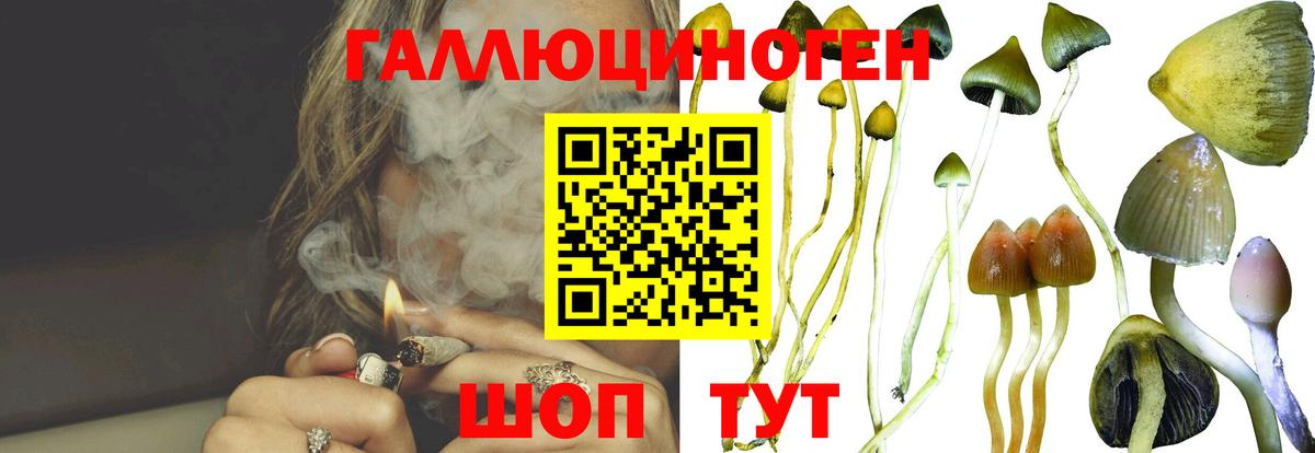 Кузнецк  Галлюциногенные грибы мицелий  купить закладку  Вход с VPN  Галлюциногенные грибы мицелий 
